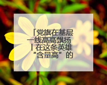 党旗在基层一线高高飘扬丨在这条英雄“含量高”的路上寻初心